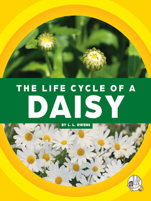 cover image of The Life Cycle of a Daisy